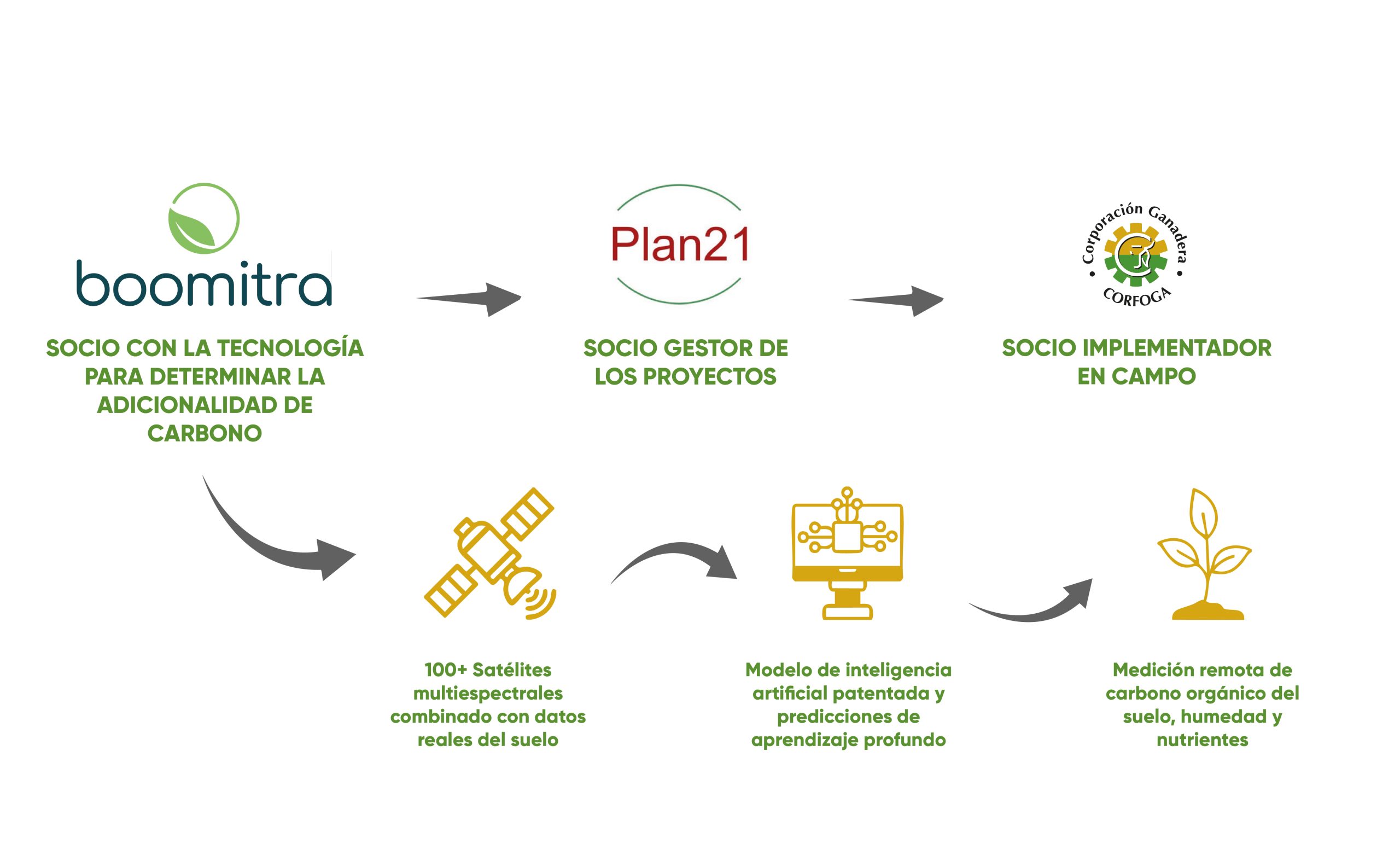 WEB 2.